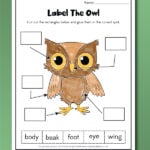 Pinterest Hidden Image