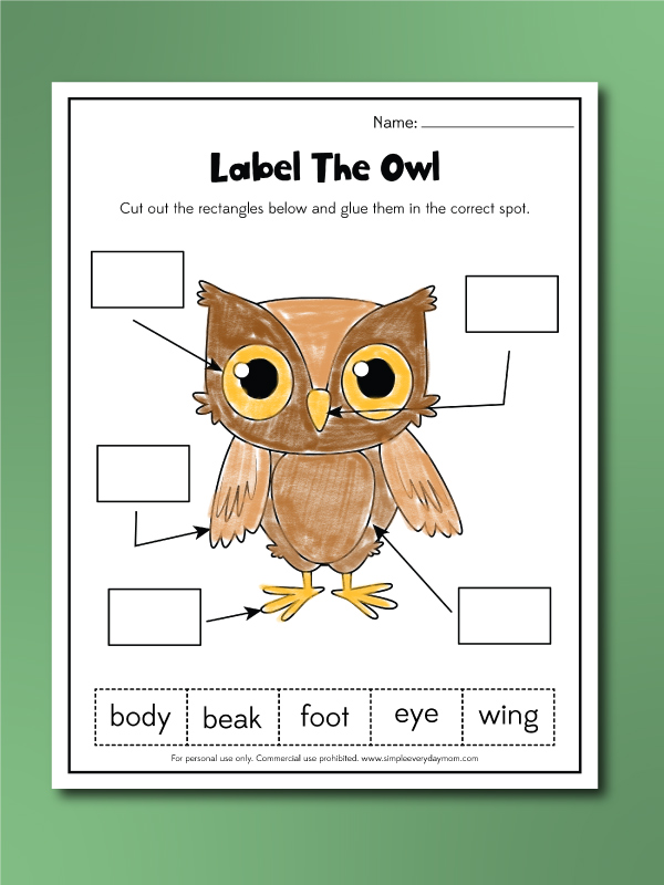 owl worksheets label the owl
