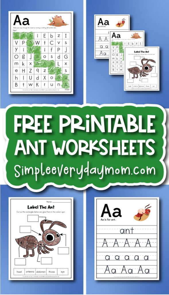 ant worksheets cover image