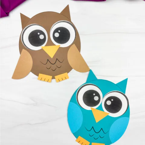 two side by side examples of owl shape craft