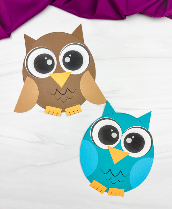 two side by side examples of owl shape craft
