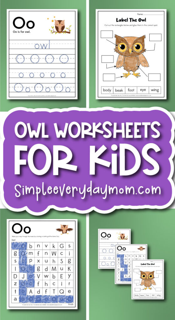 owl worksheets cover image