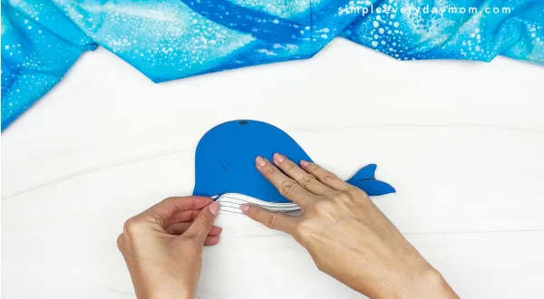 hands gluing parts to whale