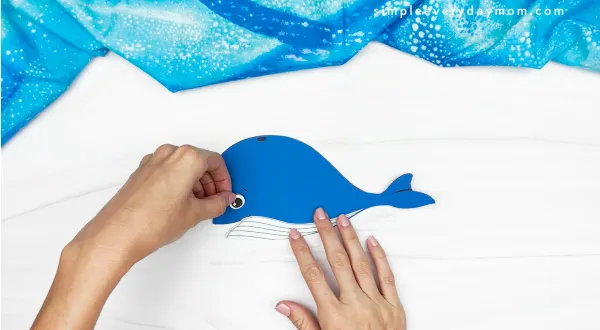 hands gluing eye to whale body