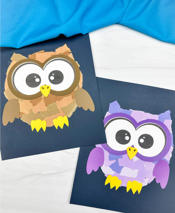 two examples of torn paper owl craft
