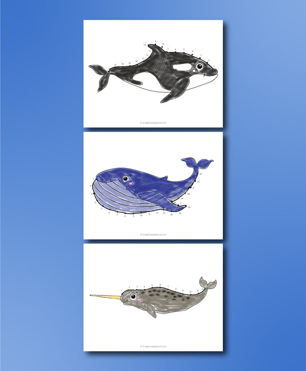 whale dot to dot worksheet collage