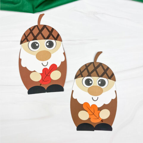 two examples of acorn gnome craft