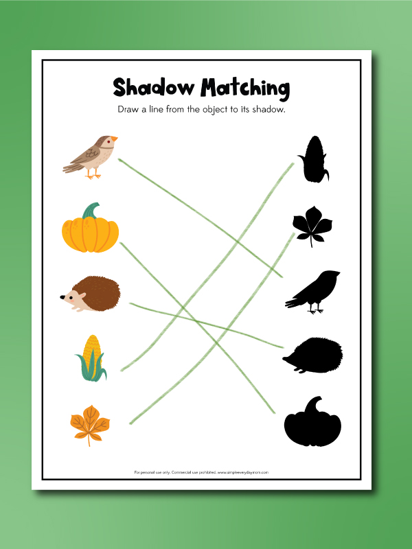 fall matching worksheets shadow matching