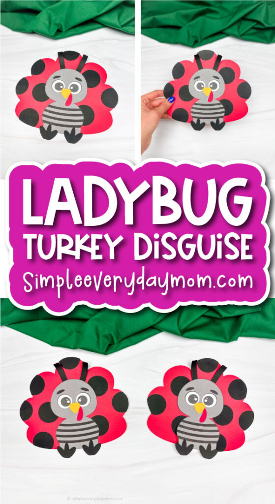 ladybug turkey disguise craft cover image