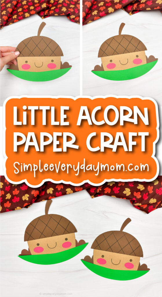 little acorn craft cover image