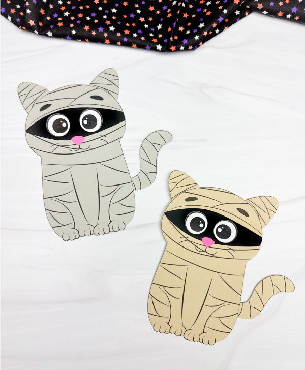 two examples of cat mummy craft