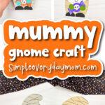 mummy gnome craft cover image
