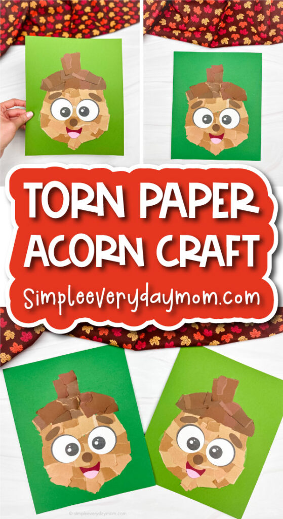 torn paper acorn craft cover image