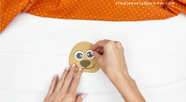 hands gluing eye to dog face