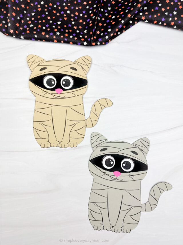 two side by side examples of cat mummy craft
