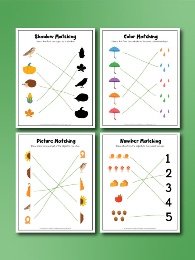 fall matching worksheets collage