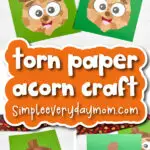 torn paper acorn craft cover image