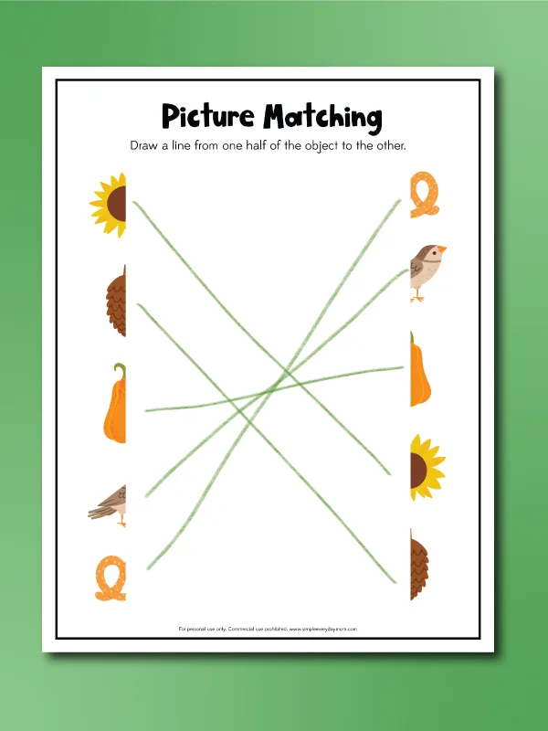 fall matching worksheets picture matching