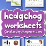 hedgehog worksheets cover image