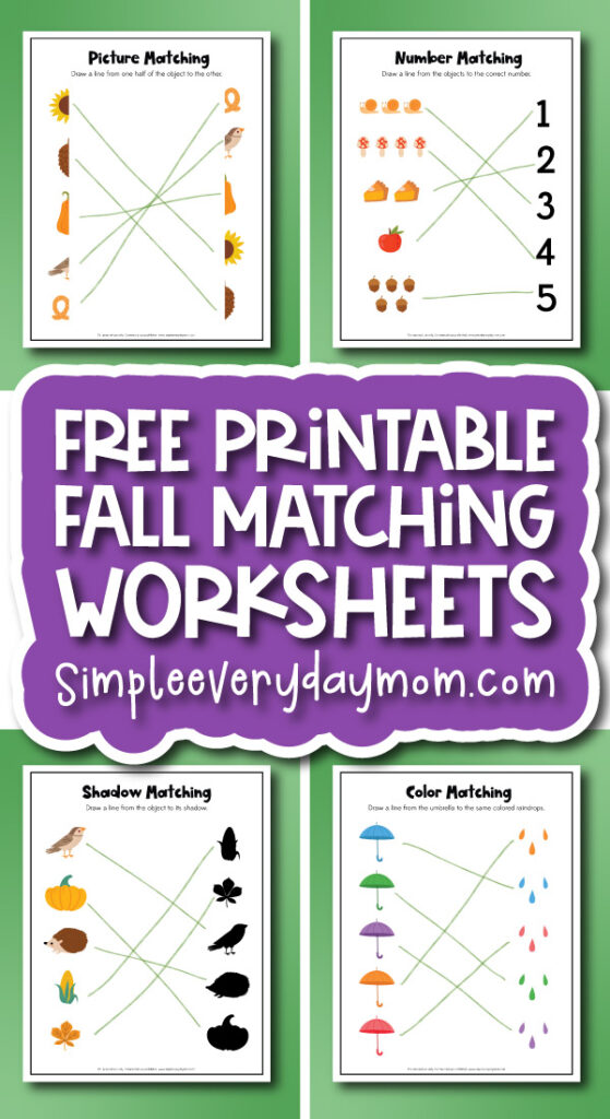 fall matching worksheets for kids cover image