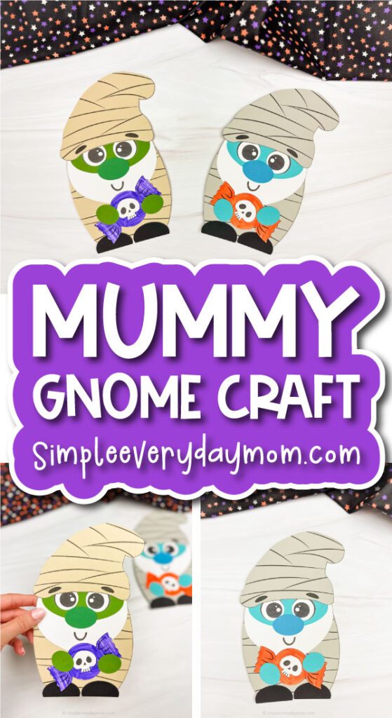 mummy gnome craft cover image