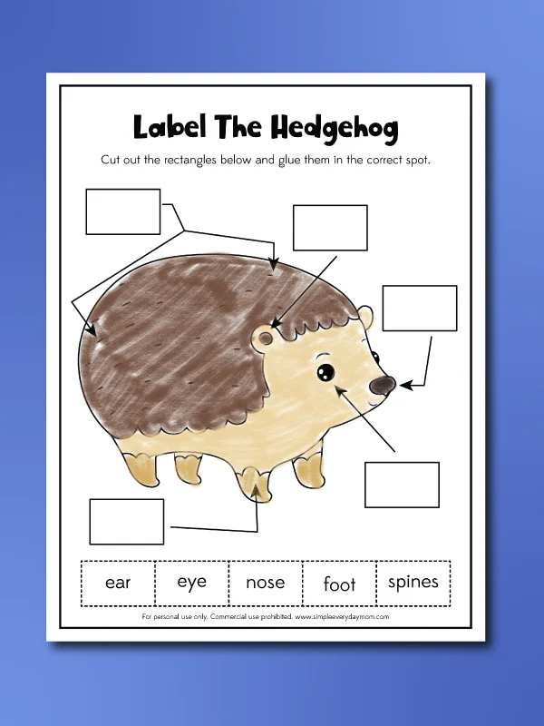 hedgehog worksheets label the hedgehog