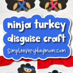 turkey ninja cover image