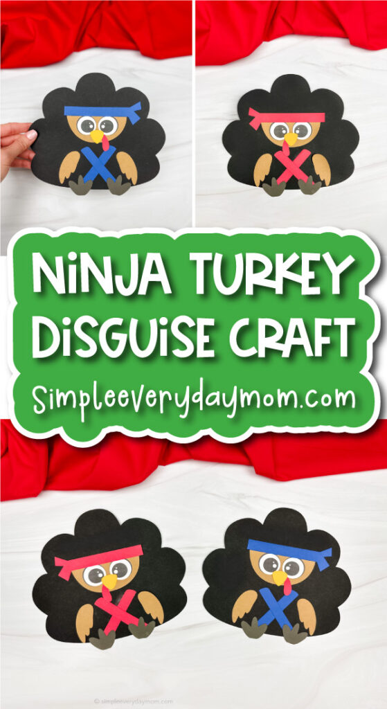 turkey ninja cover image