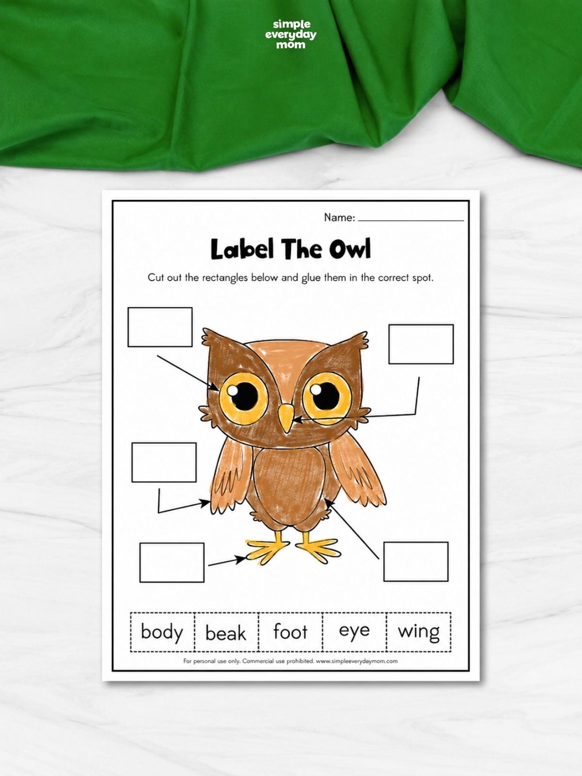 Owl labeling worksheet with spaces for body, beak, foot, eye, and wing.