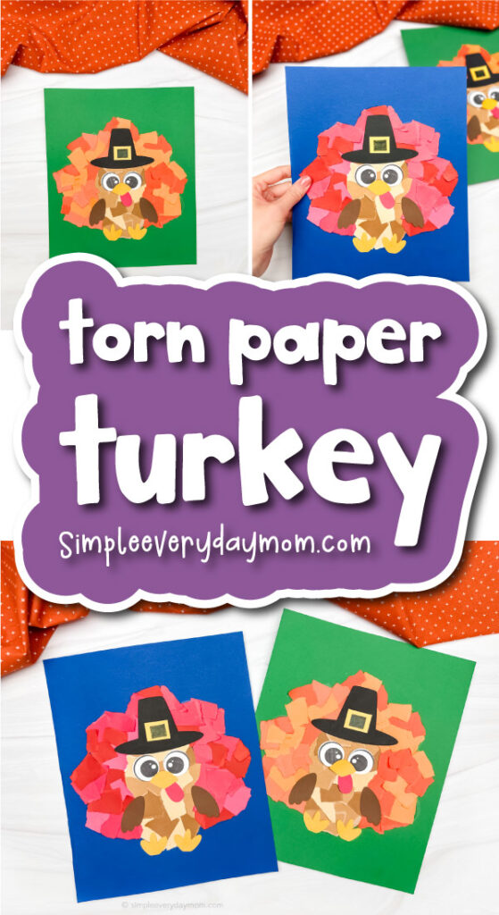 torn paper turkey cover image
