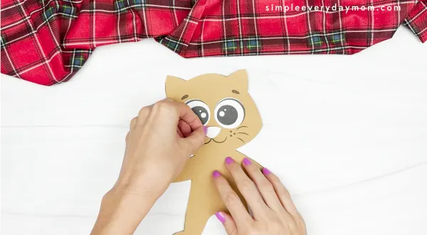 hands gluing nose to cat
