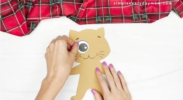 hands gluing eye to face of cat