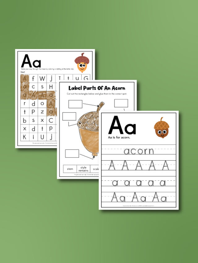 acorn worksheets combination image