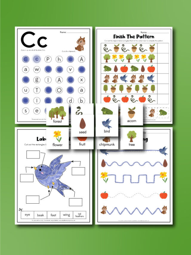 Because Of An Acorn Activities [Freebie] Story
