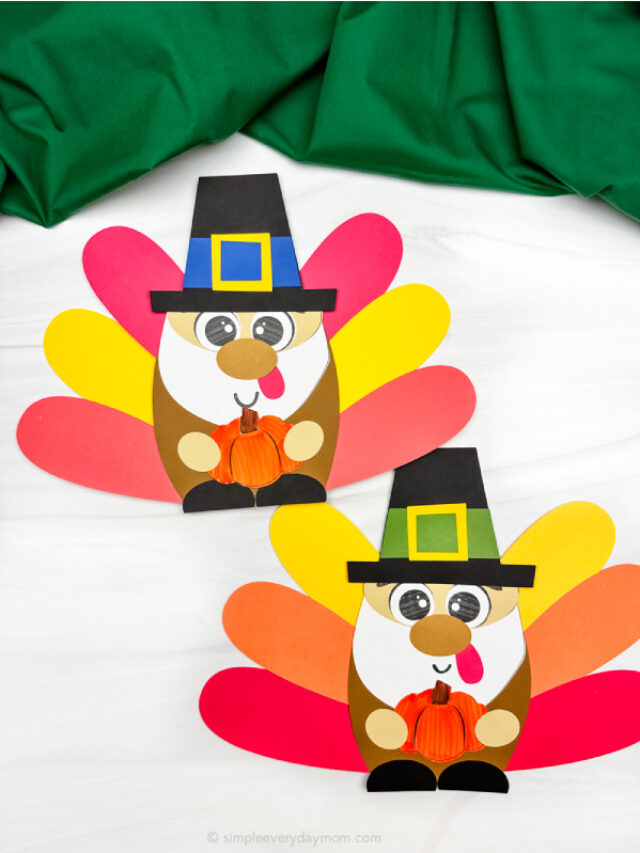 turkey gnome craft two examples