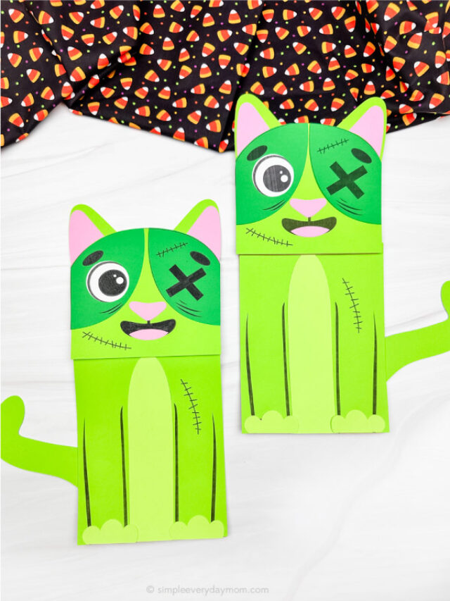 zombie cat puppet craft photos