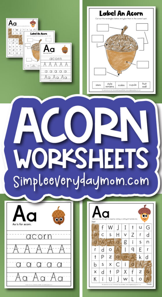 acorn worksheet cover image