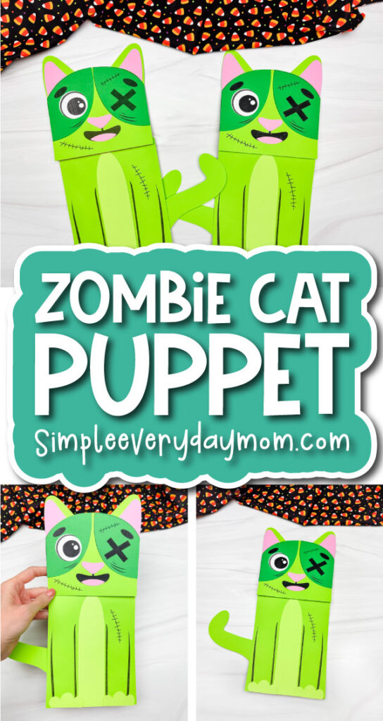 zombie cat puppet craft cover image
