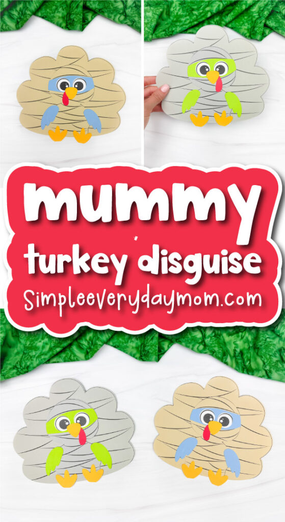 disguise a turkey mummy cover image