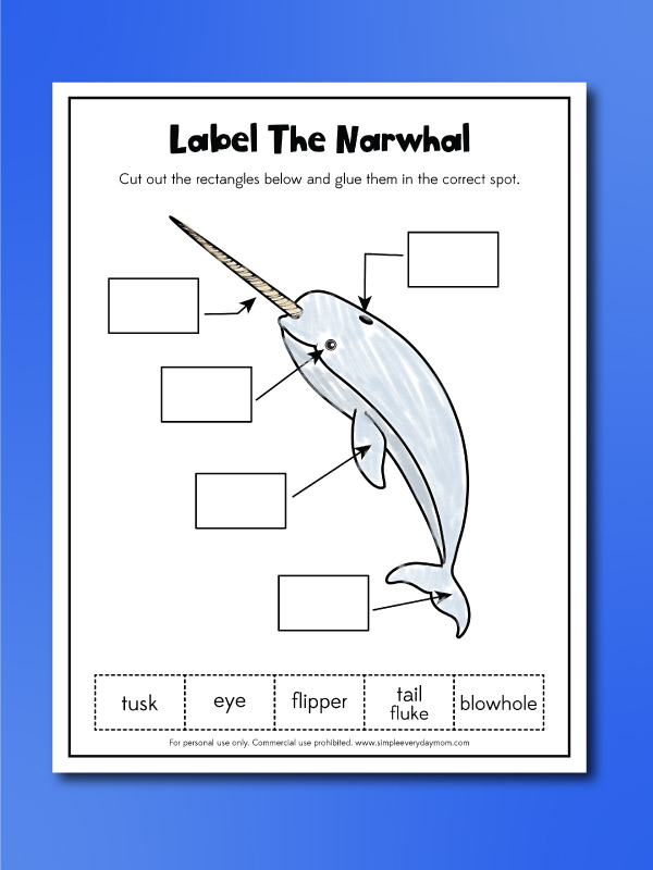 Narwhal worksheets label the narwhal