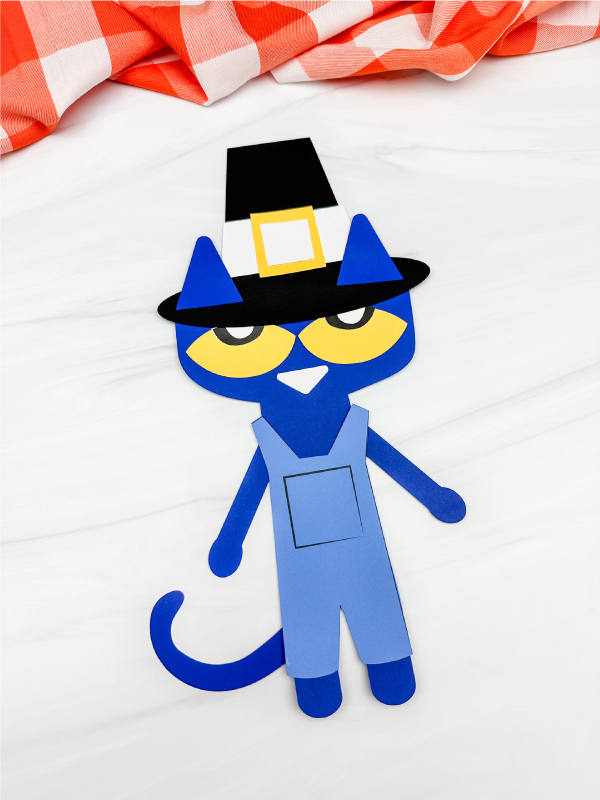 solo image of pete the cat craft side