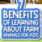 7 benefits of learning about farm animal for kids pinterest image