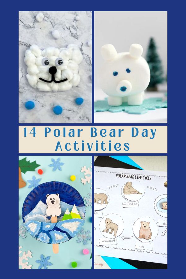 polar bear cover image