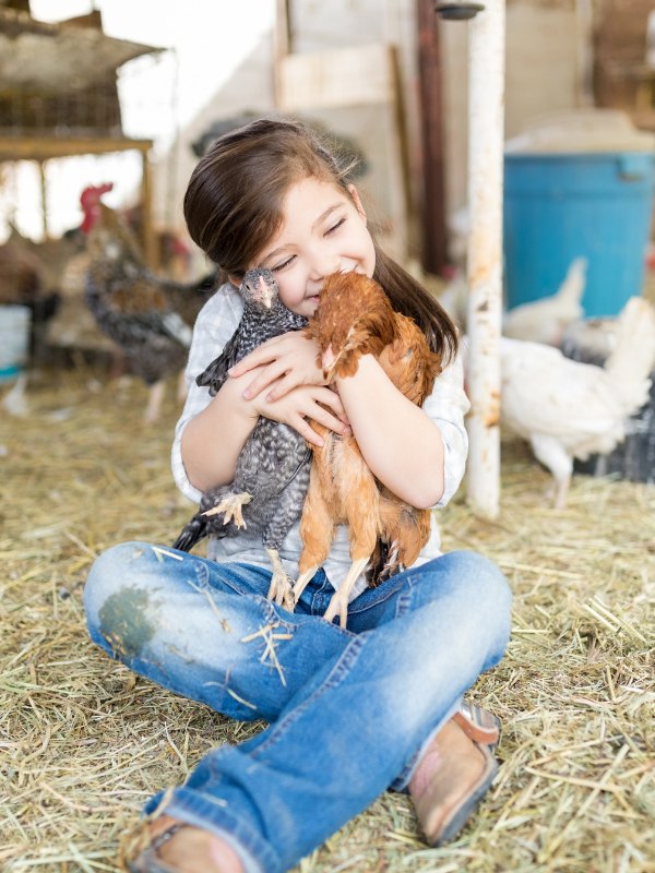 picture of a girl hugging the chickens