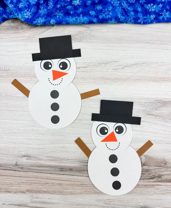 double image of snowman shape craft