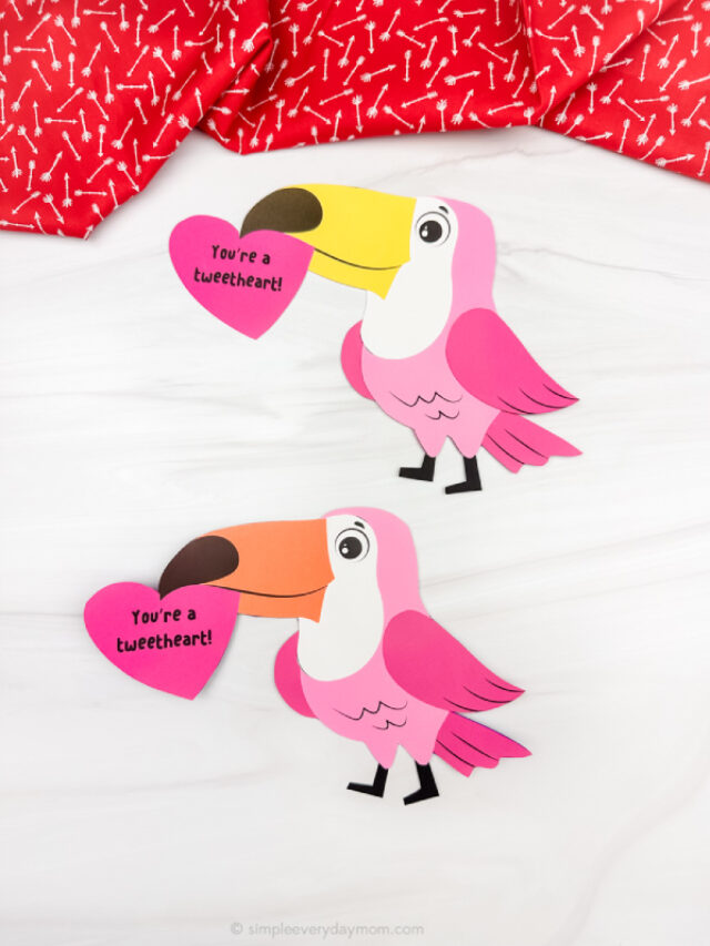 two image of valentine birds craft