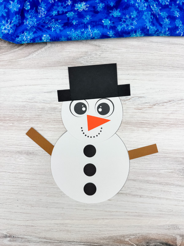 solo image of snowman shape craft