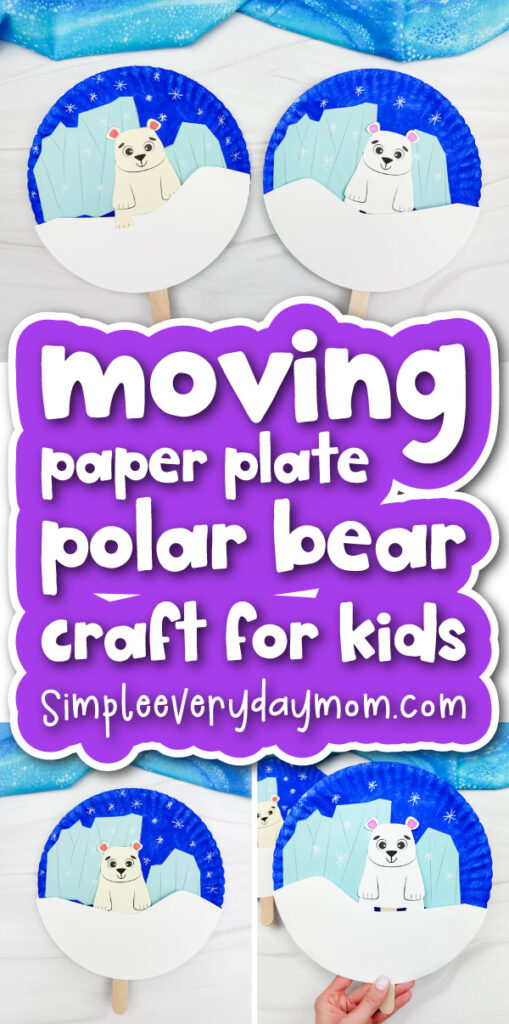 moving polar bear cover image