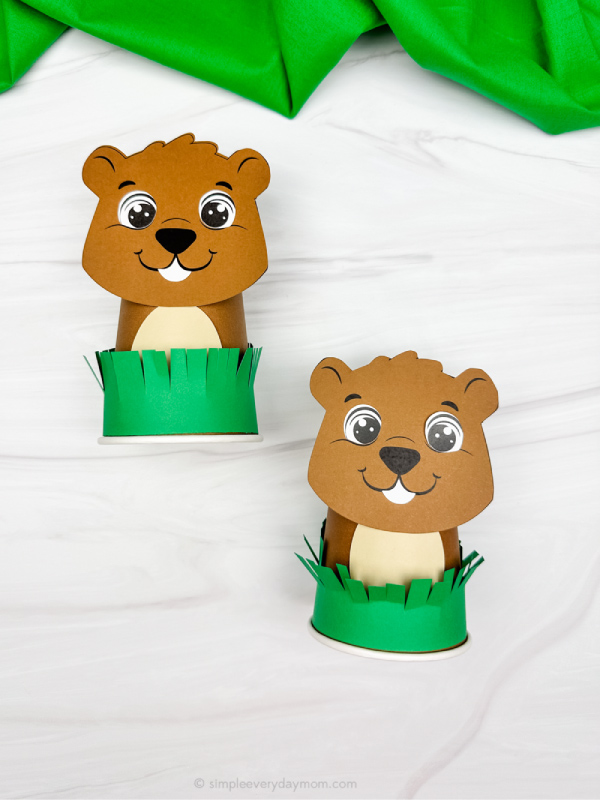 two image of groundhog cup craft