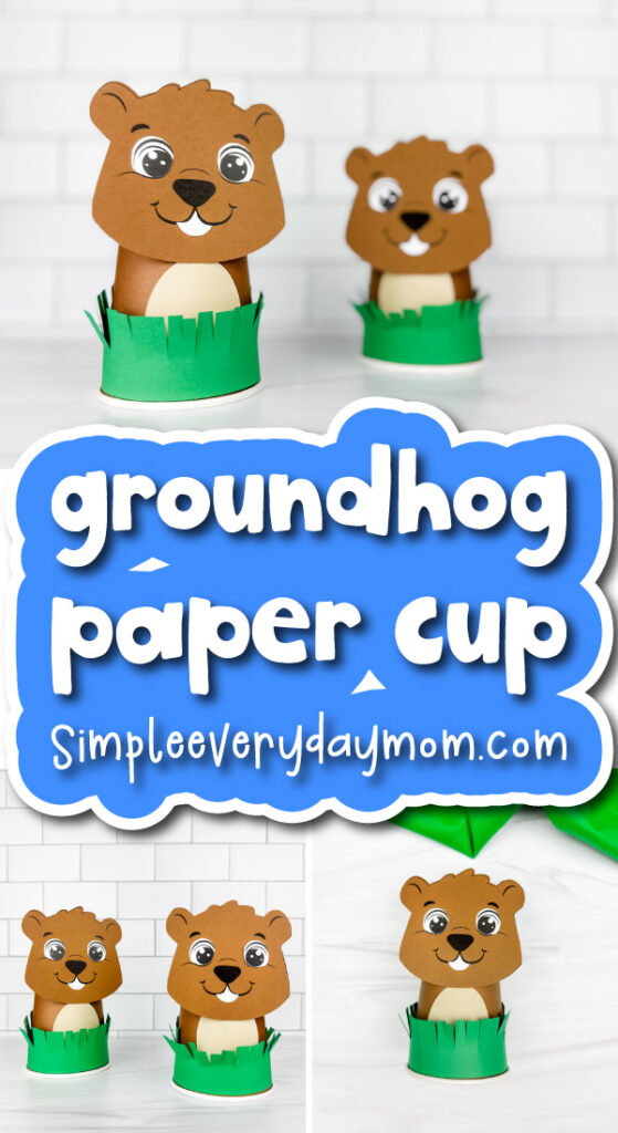groundhog cup craft cover image